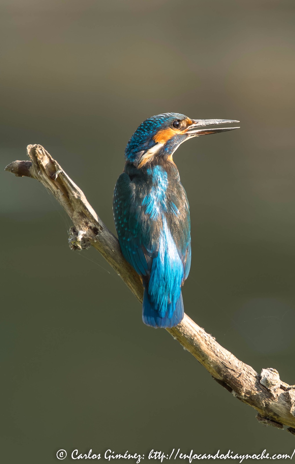 WhatsApp Image 2017-09-09 at 14.33.01 (1)